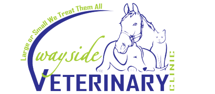 Wayside Veterinary Clinic